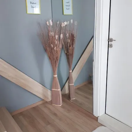 شقة Airluxapartament *
